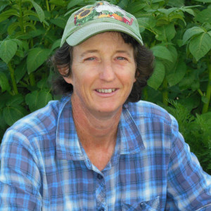 Lynn Gillespie Paleo Resource