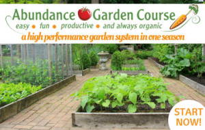 Abundance Garden Course Ad