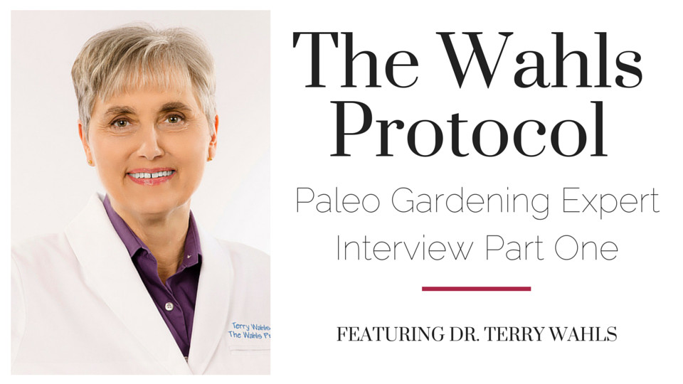 The Wahls Protocol Interview Part One