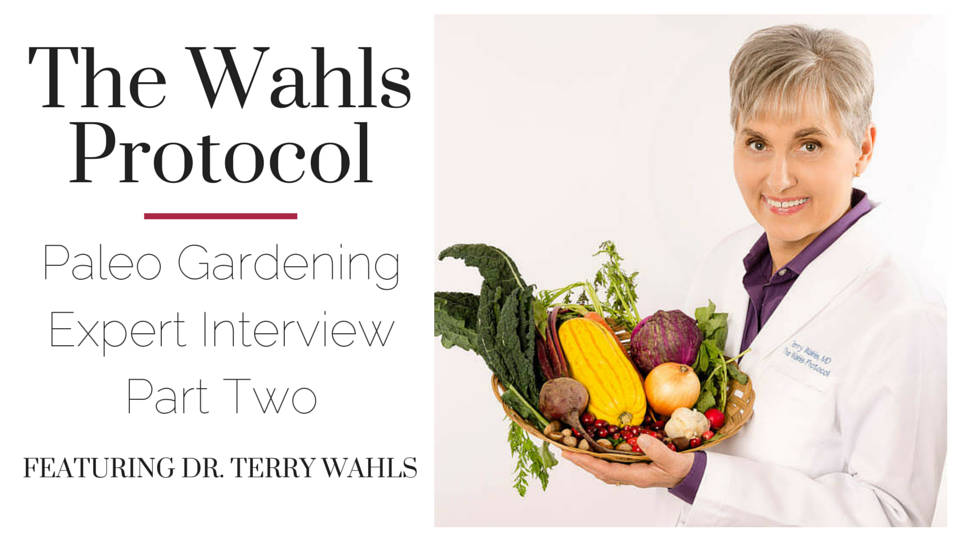 The Wahls Protocol Interview Part Two
