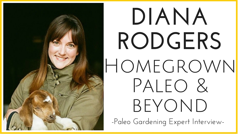 Diana Rodgers Homegrown Paleo Interview