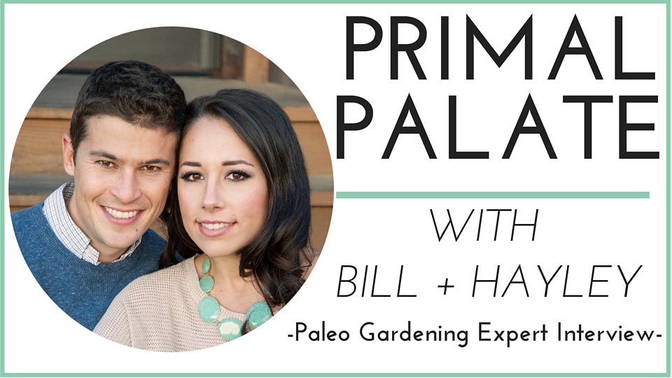 Primal Palate Paleo Spices and Backyard Chickens