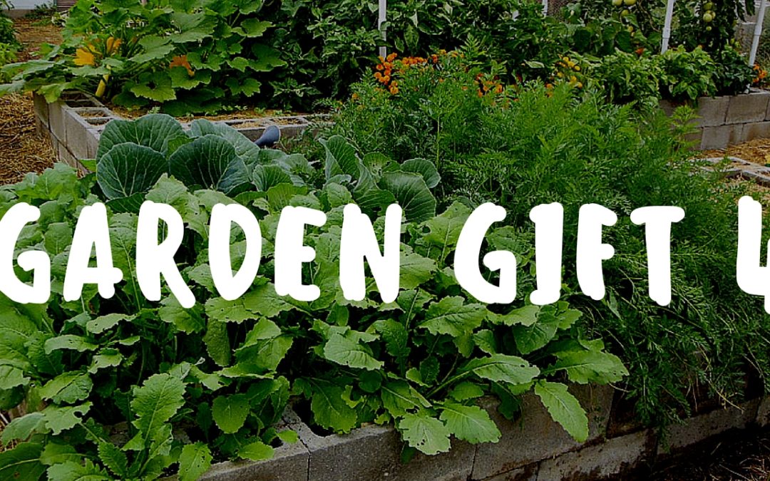 Garden Gift 04 Adventure in the Garden