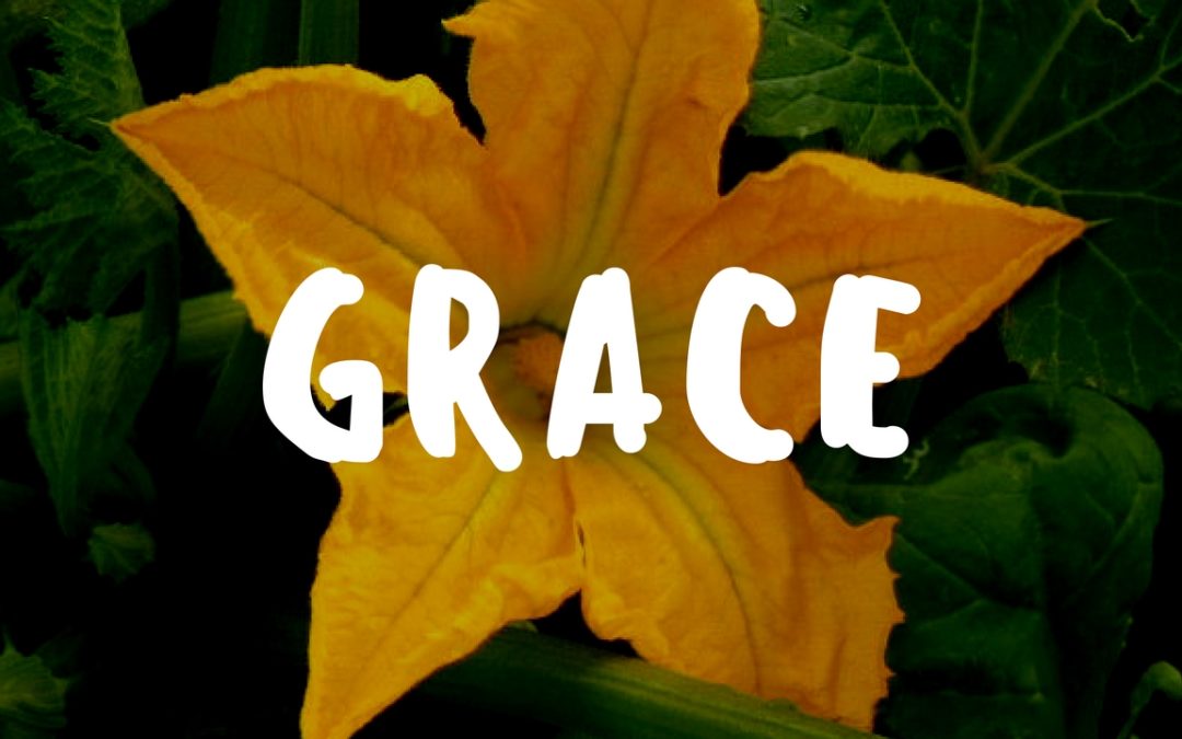 Teaching Kids Grace in the Garden – Garden Gift 10