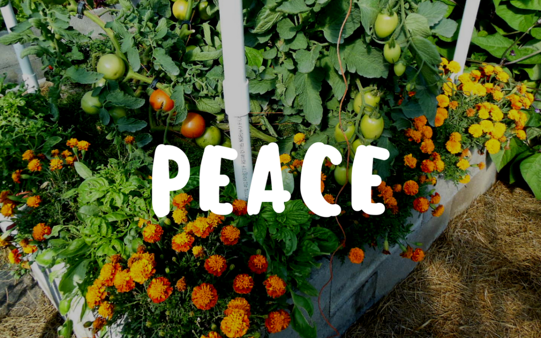 Peace in the Weed Free Organic Garden – Garden Gift 12