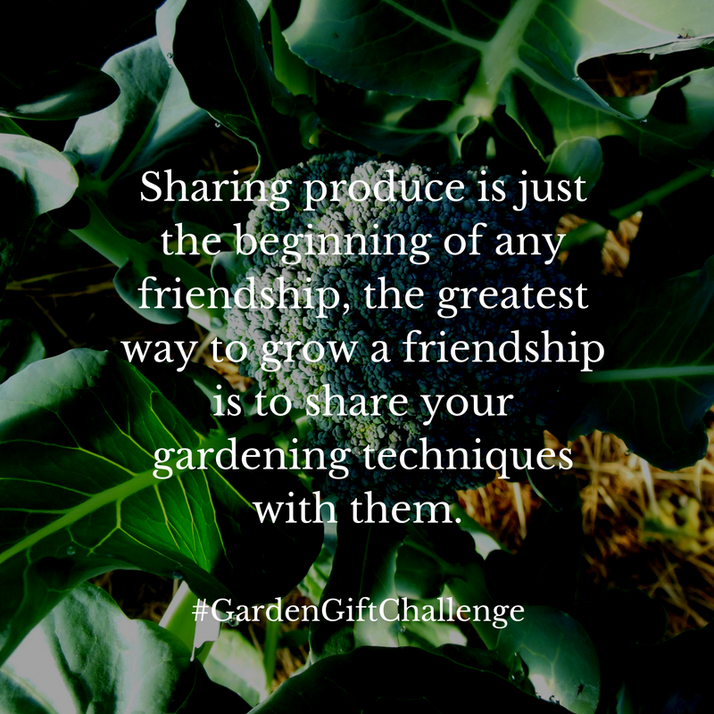 Friendship Garden Quote