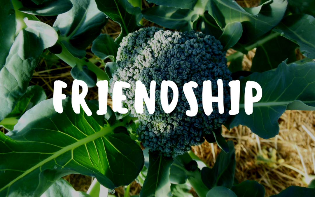 Friendship is Just One of the Many Gifts From the Garden! – Garden Gift 19