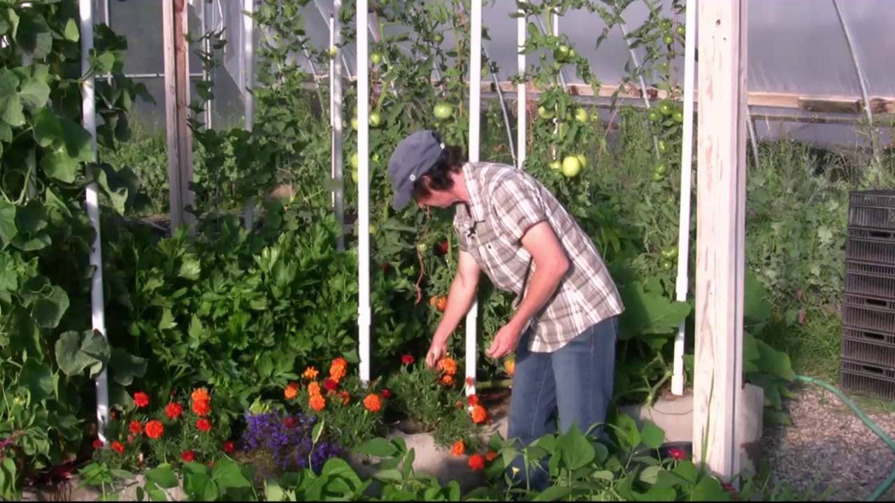 The 2017 High Performance Garden Show Update